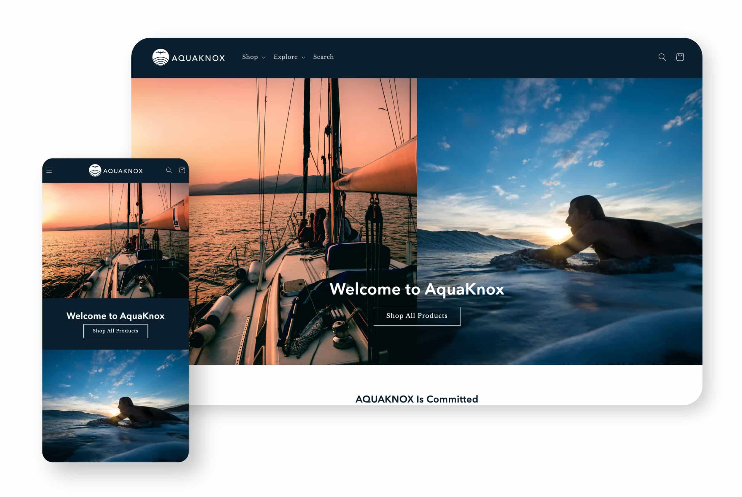 Giant Creative Commerce Website Sample Aquaknox 15